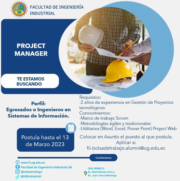 Project Manager